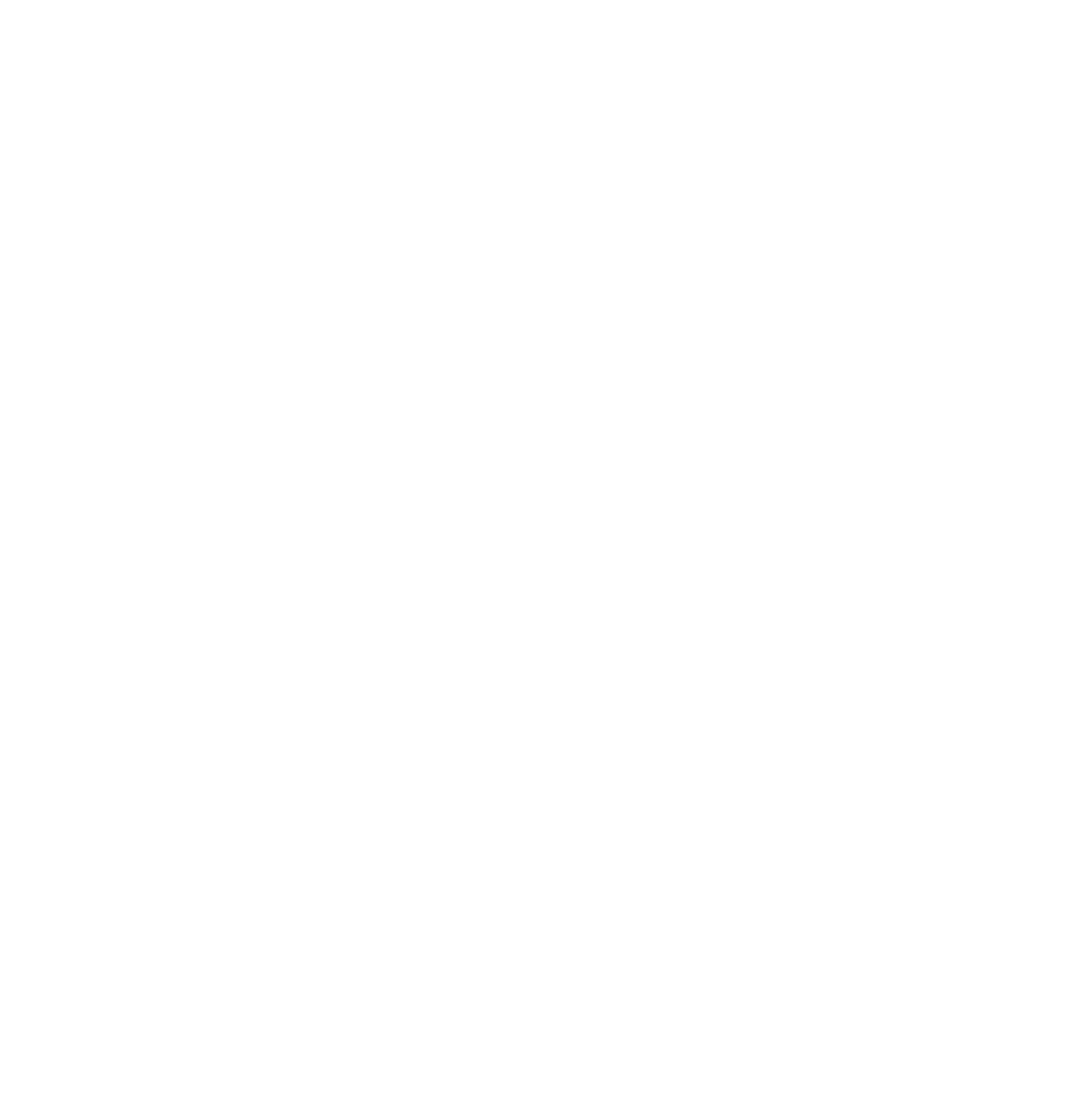Logo White